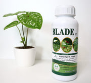 Blade EC 10% "Insecticide" - Greensouq - 
