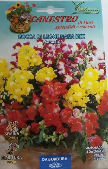 Bocca Di Leone Nana Mix Seed by CANESTRO - Greensouq - 