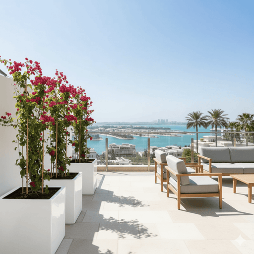 Bougainvillea 1.4 - 1.6m in Grp Square White Pot 40 x 40 - Greensouq - 