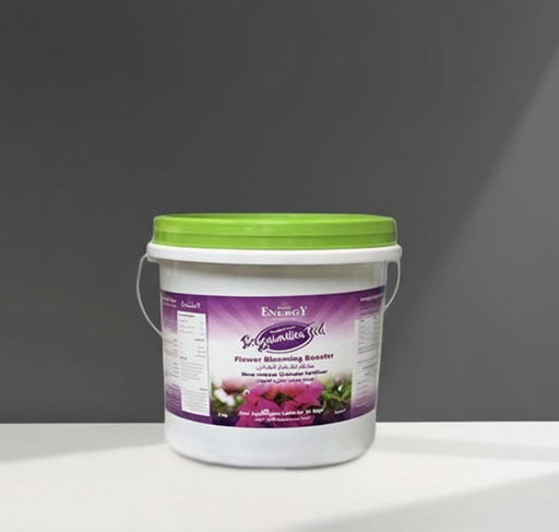 Bougainvillea Feed Fertilizer 3kg "Best Fertilizer for Bougainvillea and Flowering Plants" - Greensouq - 