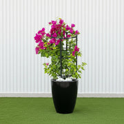 Black Ceramic Bougainvillea Pot - Modern Home Decor - Greensouq -