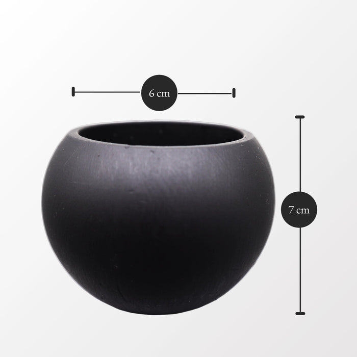 Bowl Succulent Pot - Greensouq - 