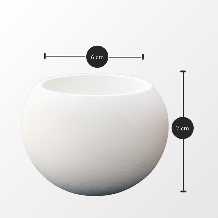 Bowl Succulent Pot - Greensouq - 