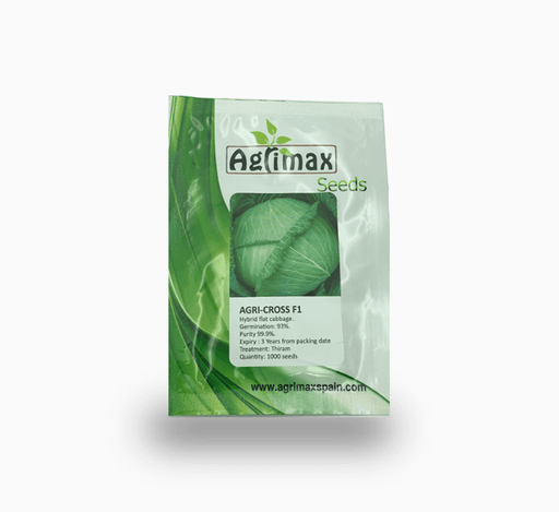 Cabbage Agri - Cross F1 Premium Quality Seeds - Greensouq - 