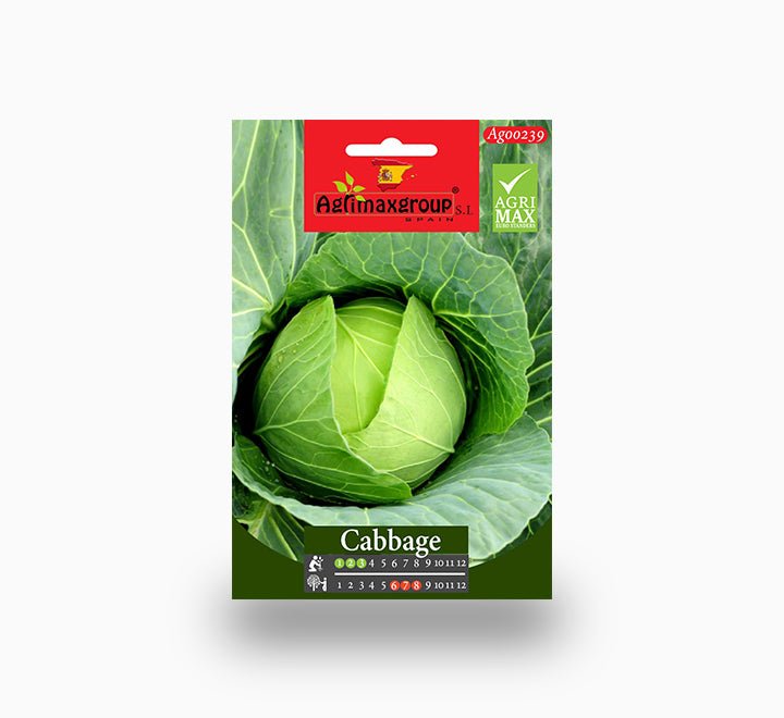 Cabbage Agrimax Seeds - Greensouq - 