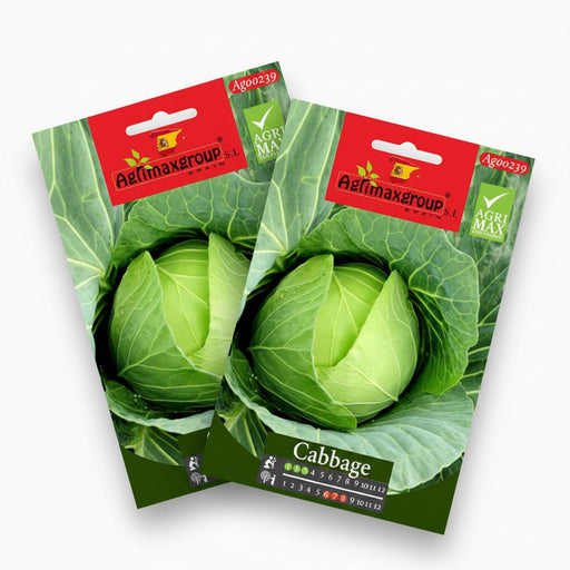 Cabbage Seeds | Cabbage Agrimax Seeds - Greensouq -