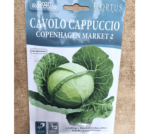 Cabbage Vegetable Seeds "Cavolo Cappuccio Copenhagen Market 2" by Hortus - Greensouq - 