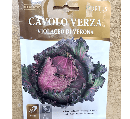 Cabbage Vegetable Seeds "Cavolo Verza" by Hortus - Greensouq - 