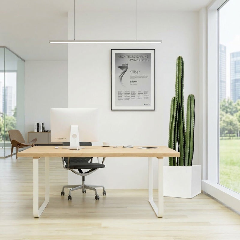 Cactus San Pedro (1.0-1.4m) | Dubai's Vertical Design Element! - Greensouq -