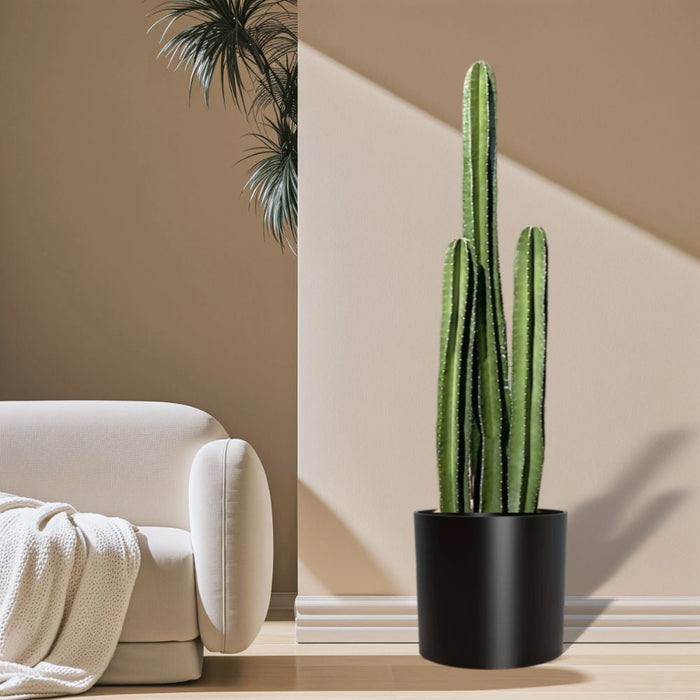 Cactus San Pedro in Fiber Glass Pot (GRP) - Greensouq - 