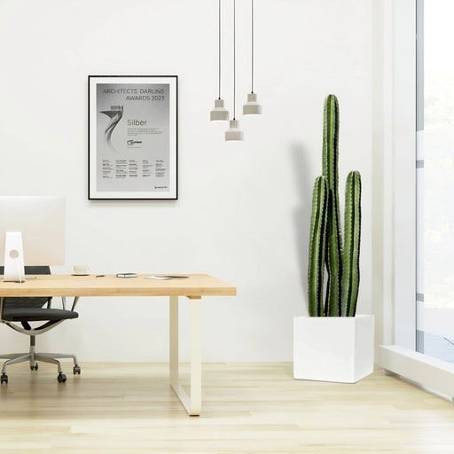 Cactus San Pedro in Grp Pot 40x40 - Greensouq - 