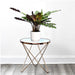 Calathea Lancifolia (Rattlesnake Plant) - 30cm - Greensouq - 