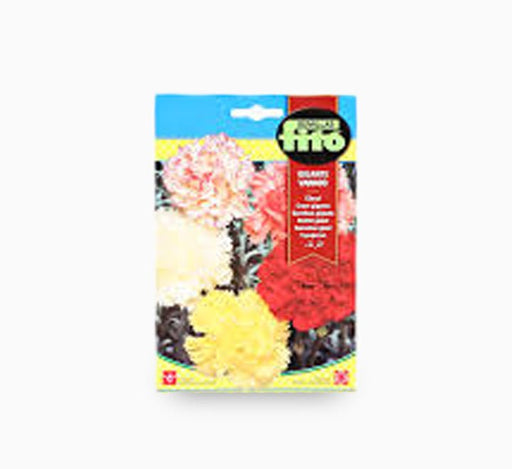 Campanula Giant Mix 15cm - Greensouq - 