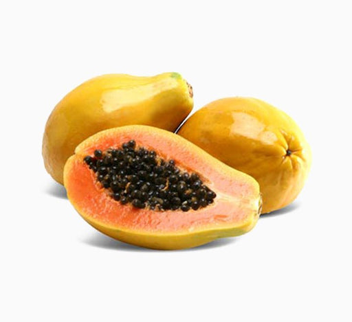 Carica Papaya or Papaya Tree (1.2m - 2.0m) شجرة البابايا - Greensouq - 