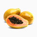 Carica Papaya or Papaya Tree (1.2m - 2.0m) شجرة البابايا - Greensouq - 