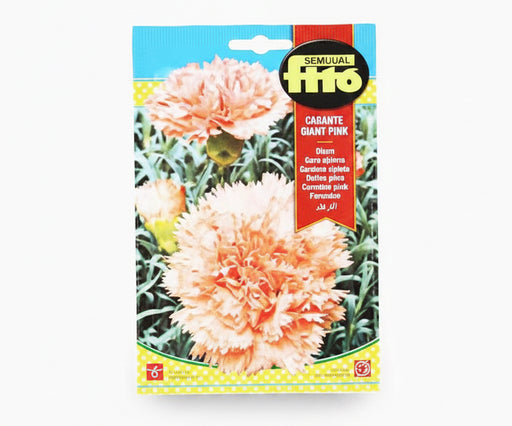 Carnation Seeds Giant Pink 800mg - Fito - Greensouq -