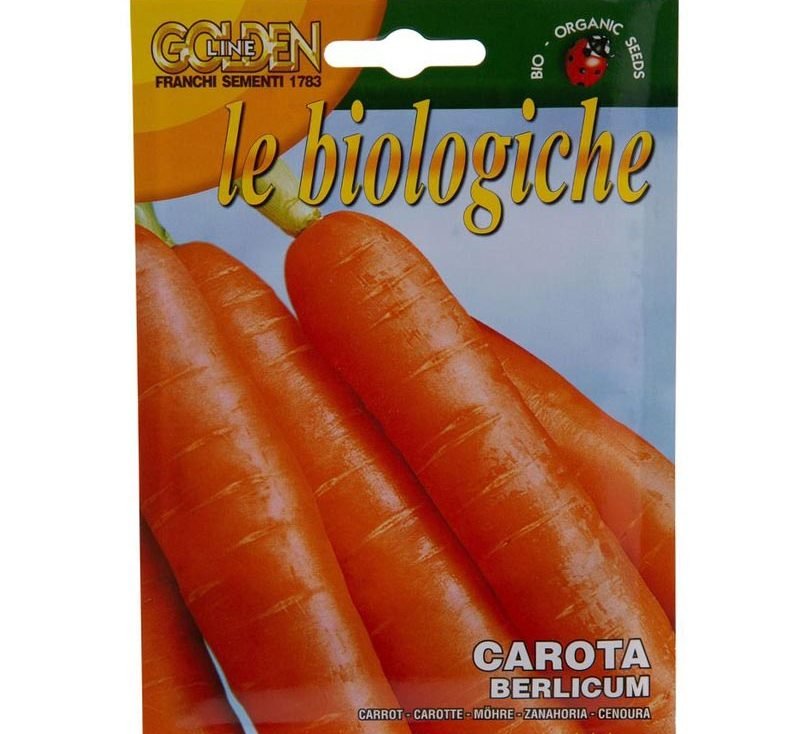 Carrot "Carota Berlicum" Organic Seeds - Greensouq -