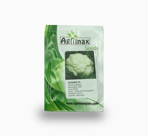 Cauliflower Clouds F1 Premium Seeds - Greensouq - 