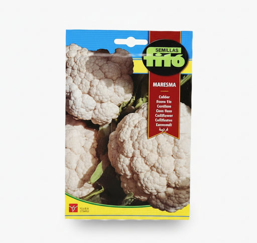 Cauliflower Maresma 4g - Fito - Greensouq - 