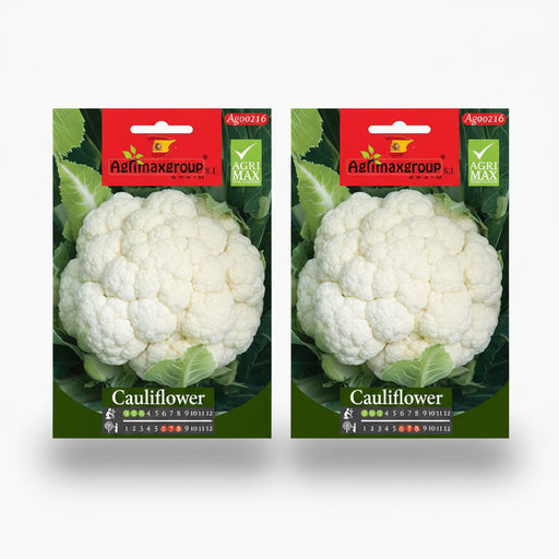 Agrimax Cauliflower Seeds - Greensouq -