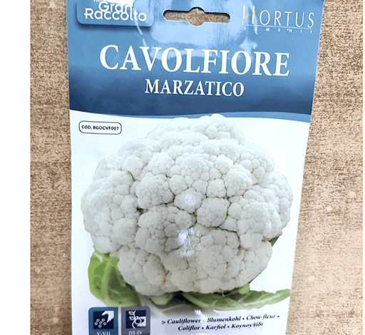 Cauliflower Vegetable Seeds "Cavolfiore Marzatico" by Hortus - Greensouq - 