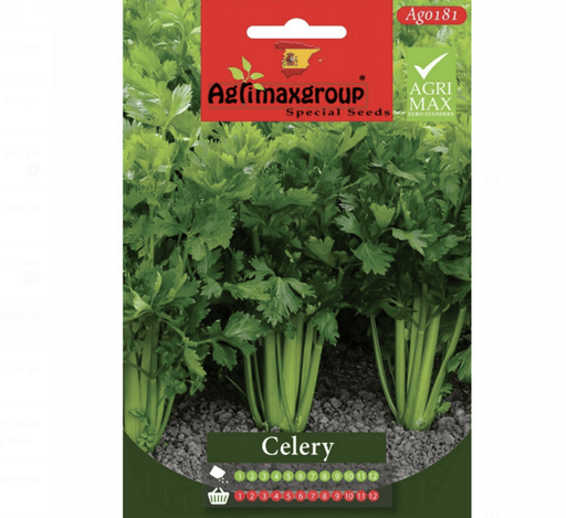 Celery Agrimax Seeds - Greensouq - 