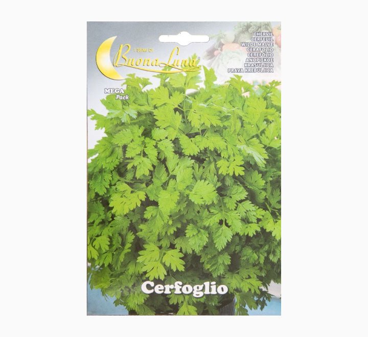 Cerfoglio Comune Mega Pack - Greensouq - 