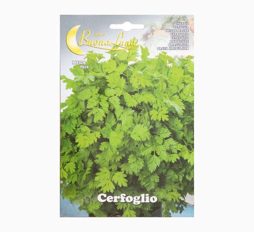 Cerfoglio Comune Mega Pack - Greensouq - 