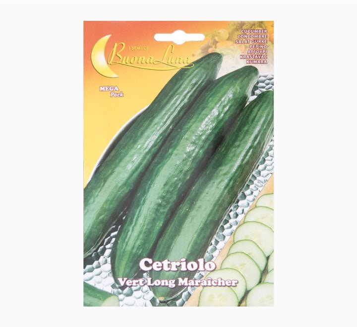 Cetriolo Vert Long Maraicher Mega Pack - Greensouq - 