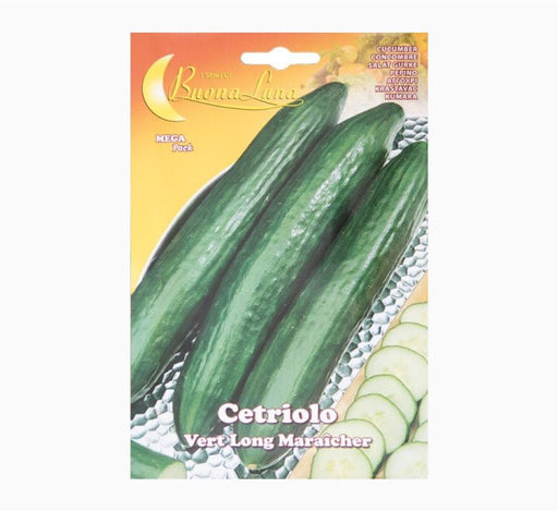 Cetriolo Vert Long Maraicher Mega Pack - Greensouq - 