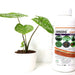 Changong EC "Insecticide" 1Ltr - Greensouq - 