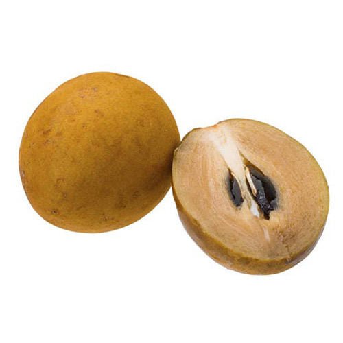 Chickoo Ball 1.0 - 1.2m - Greensouq - 