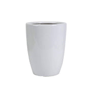 Chinese Guava (Psidium cattleianum)1.5 - 2.0m - Greensouq - 