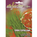 Chives "Erba Cipollina" Premium Quality Seeds by Alta Selezione - Greensouq - 