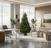 Christmas Tree “Nordmann Fir" Europe Super Premium - Greensouq - 