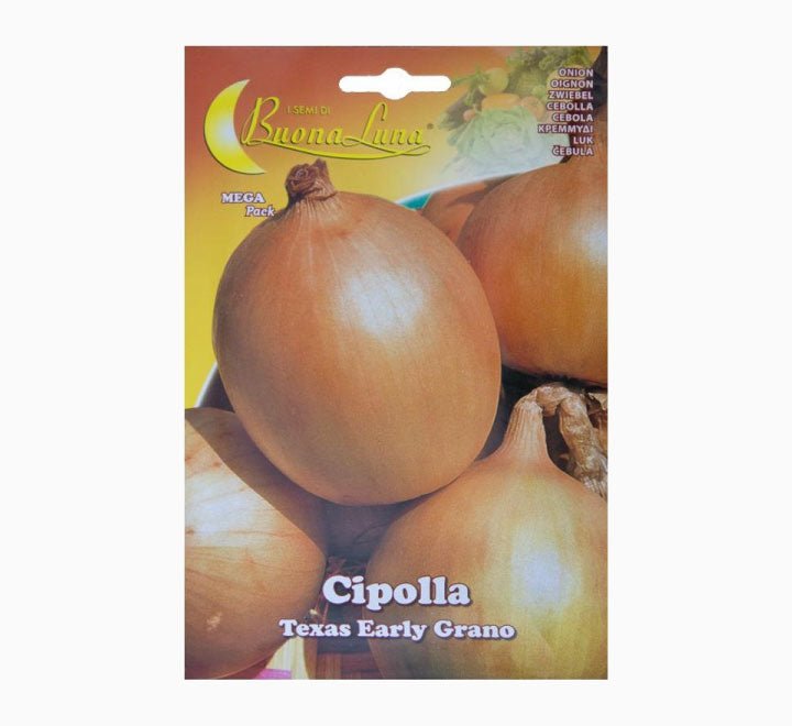 Cipolla Texas Grano Mega Pack - Greensouq - 