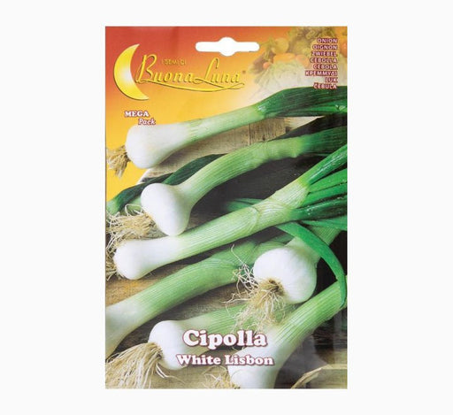Cipolla White Lisbon Seeds - Greensouq - 