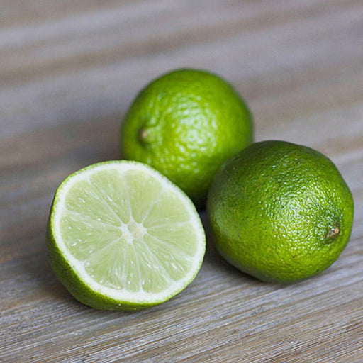 Citrus Latifolia Lima 1.5 - 2.0m - Greensouq - 