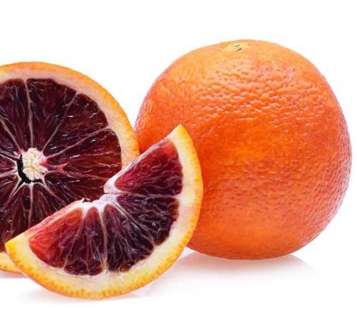 Citrus sinensis - Moro "Blood Orange Tree" 2.0 - 2.5 m - Greensouq - 