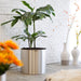Classic Cylinder "Mirror Finish" - Greensouq - 