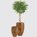 Classic Woody Pot - Greensouq - 