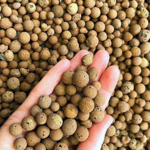 Clay Pebbles (Hydro Stones) | Dubai Garden Material! - Greensouq -