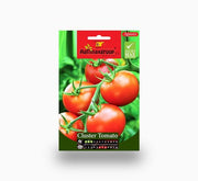 Cluster Tomato Agrimax Seeds - Greensouq - 