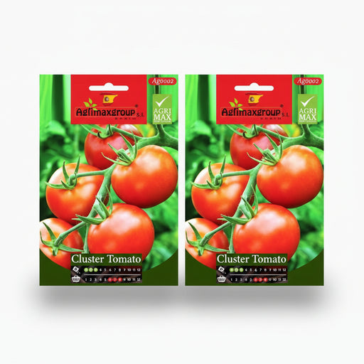 Agrimax Cluster Tomato Seeds - Greensouq -