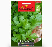 Coriander Agrimax Seeds - Greensouq - 