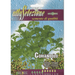 Coriander "Coriandolo" Premium Quality Seeds by Alta Selezione - Greensouq - 