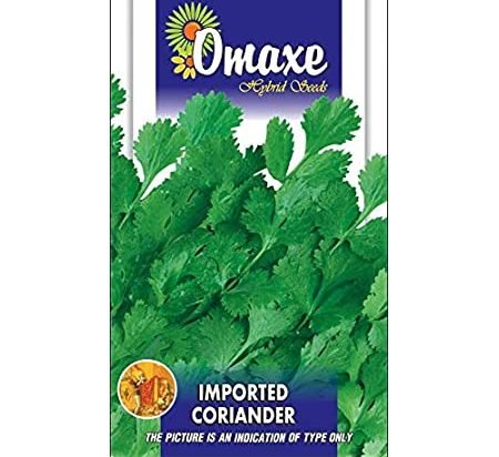 Coriander Imported Hybrid Seeds by Omaxe - Greensouq - 