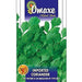 Coriander Imported Hybrid Seeds by Omaxe - Greensouq - 