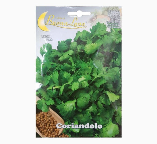 Coriandolo Mega Pack - Greensouq - 