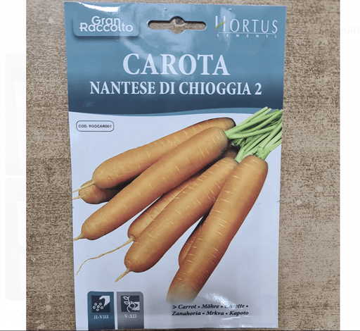 Corrot Seeds"Carota Nantese Di Chioggia 2" by Hortus - Greensouq - 